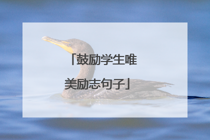 鼓励学生唯美励志句子