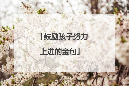 鼓励孩子努力上进的金句