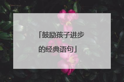 鼓励孩子进步的经典语句
