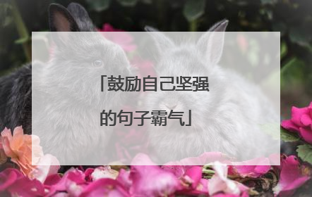 鼓励自己坚强的句子霸气