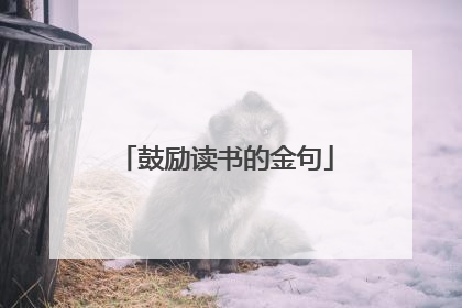 鼓励读书的金句