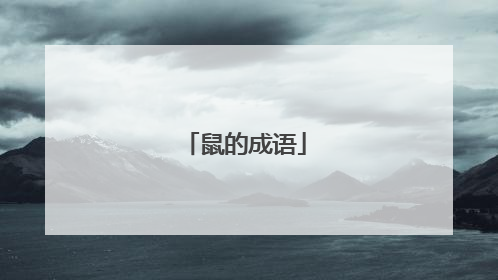 鼠的成语