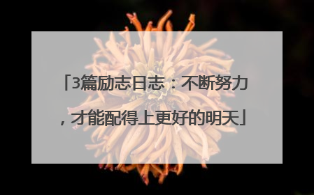3篇励志日志:不断努力,才能配得上更好的明天