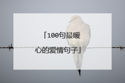 100句最暖心的爱情句子