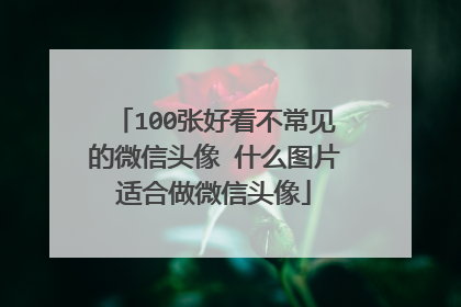 100张好看不常见的微信头像 什么图片适合做微信头像