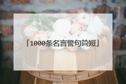 1000条名言警句简短