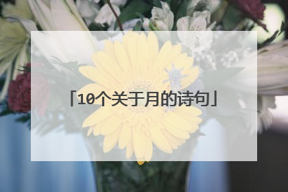 10个关于月的诗句