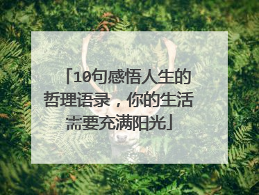 10句感悟人生的哲理语录,你的生活需要充满阳光