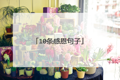 10条感恩句子