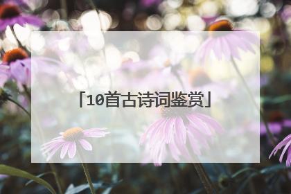 10首古诗词鉴赏