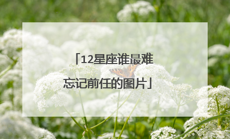 12星座谁最难忘记前任的图片