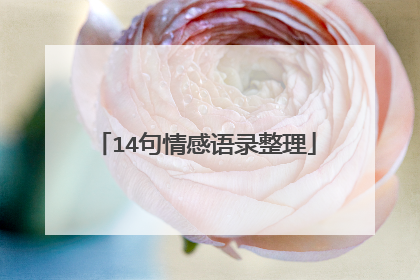 14句情感语录整理