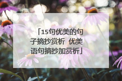 15句优美的句子摘抄赏析 优美语句摘抄加赏析