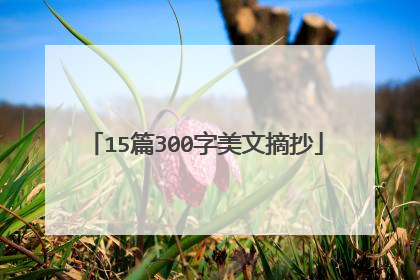 15篇300字美文摘抄