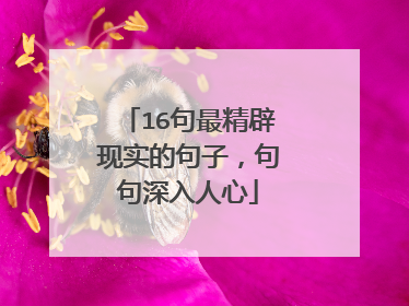 16句最精辟现实的句子，句句深入人心