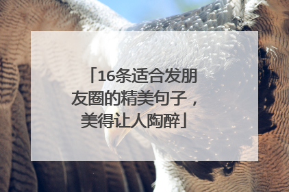 16条适合发朋友圈的精美句子,美得让人陶醉