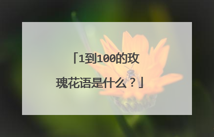 1到100的玫瑰花语是什么?