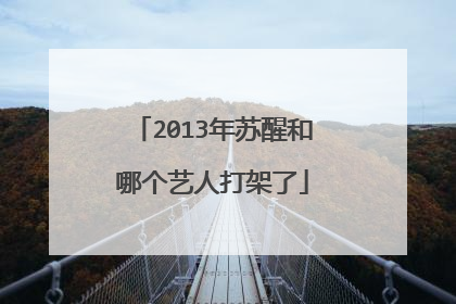 2013年苏醒和哪个艺人打架了