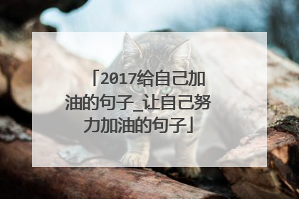 2017给自己加油的句子_让自己努力加油的句子