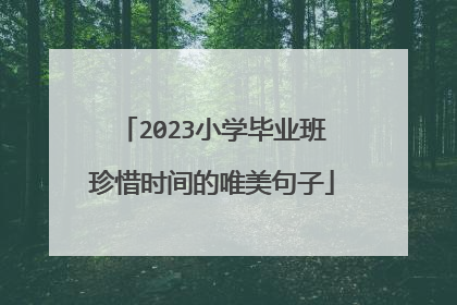 2023小学毕业班珍惜时间的唯美句子