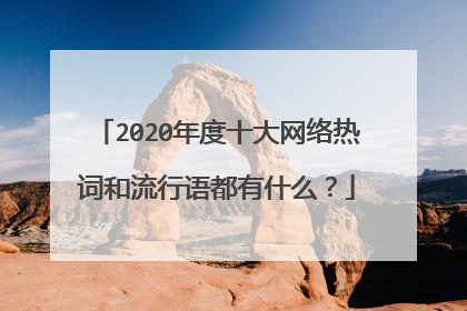 2020年度十大网络热词和流行语都有什么?