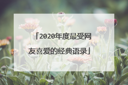 2020年度最受网友喜爱的经典语录