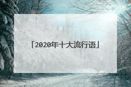 2020年十大流行语