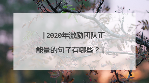2020年激励团队正能量的句子有哪些？