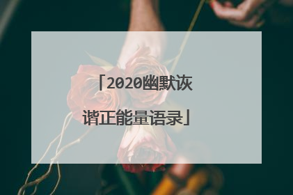 2020幽默诙谐正能量语录