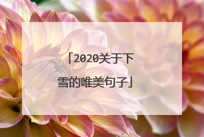 2020关于下雪的唯美句子