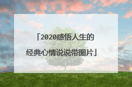 2020感悟人生的经典心情说说带图片