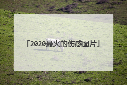 2020最火的伤感图片