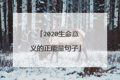 2020生命意义的正能量句子