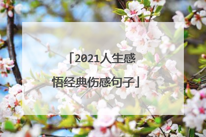 2021人生感悟经典伤感句子