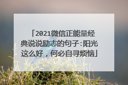 2021微信正能量经典说说励志的句子:阳光这么好,何必自寻烦恼