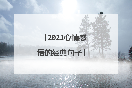 2021心情感悟的经典句子