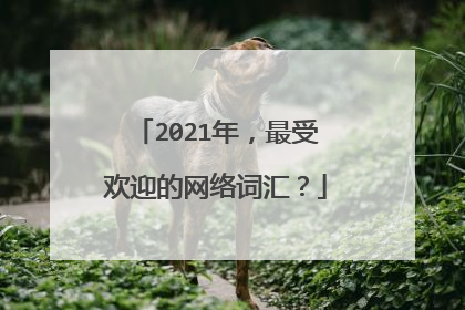 2021年,最受欢迎的网络词汇?