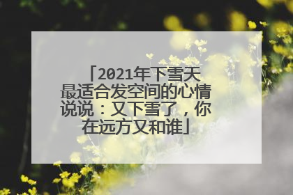 2021年下雪天最适合发空间的心情说说:又下雪了,你在远方又和谁