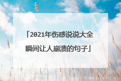 2021年伤感说说大全 瞬间让人崩溃的句子
