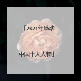 2021年感动中国十大人物
