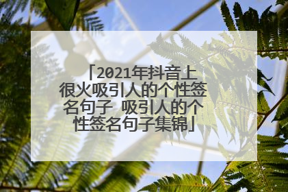2021年抖音上很火吸引人的个性签名句子 吸引人的个性签名句子集锦