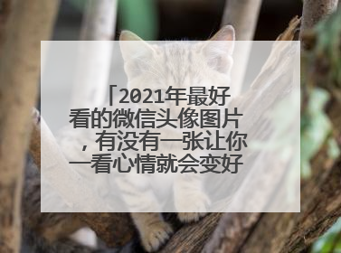 2021年最好看的微信头像图片,有没有一张让你一看心情就会变好的图片?