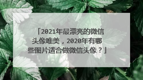 2021年最漂亮的微信头像唯美,2020年有哪些图片适合做微信头像?