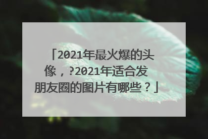 2021年最火爆的头像,?2021年适合发朋友圈的图片有哪些?