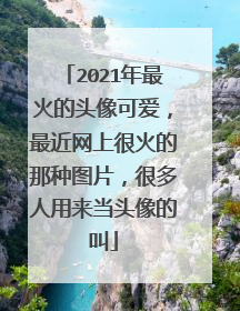 2021年最火的头像可爱,最近网上很火的那种图片,很多人用来当头像的叫