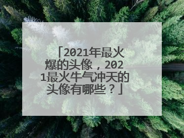 2021年最火爆的头像,2021最火牛气冲天的头像有哪些?