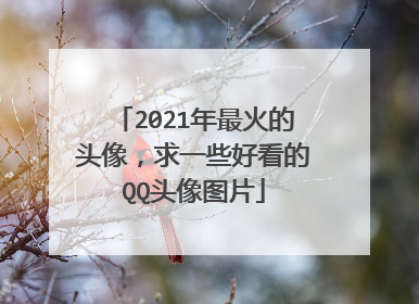 2021年最火的头像,求一些好看的QQ头像图片