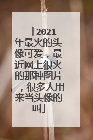 2021年最火的头像可爱,最近网上很火的那种图片,很多人用来当头像的叫
