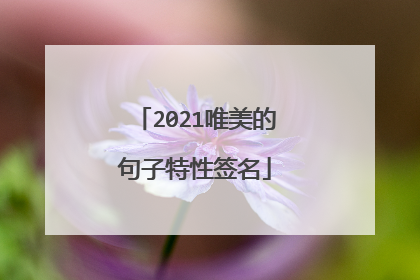 2021唯美的句子特性签名