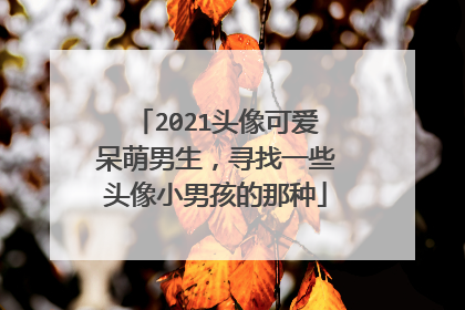 2021头像可爱呆萌男生,寻找一些头像小男孩的那种